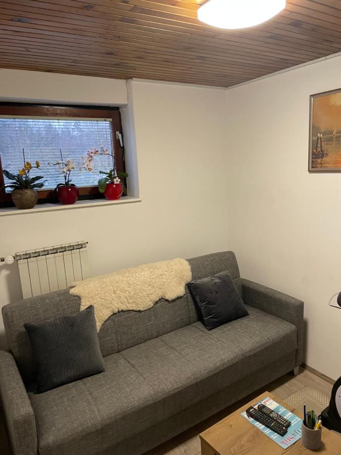 Apartma Sohen Daire Kocevje Dış mekan fotoğraf